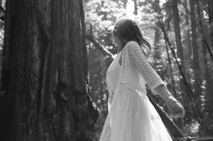 My Love Affair With Trees