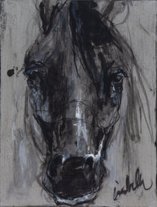 Stallion in Ink