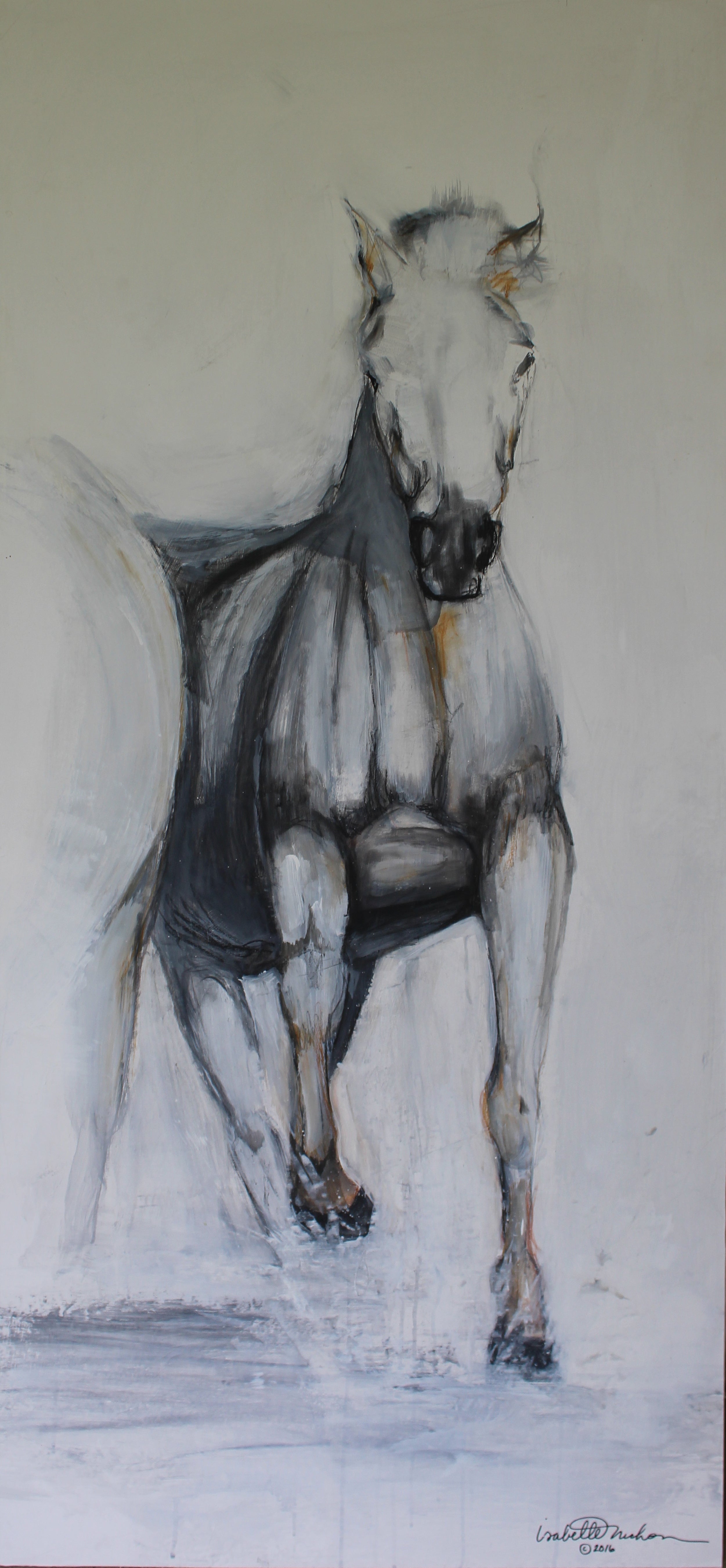 Original charcoal and gesso painting depicting the gentle and graceful horse of the Camargue.