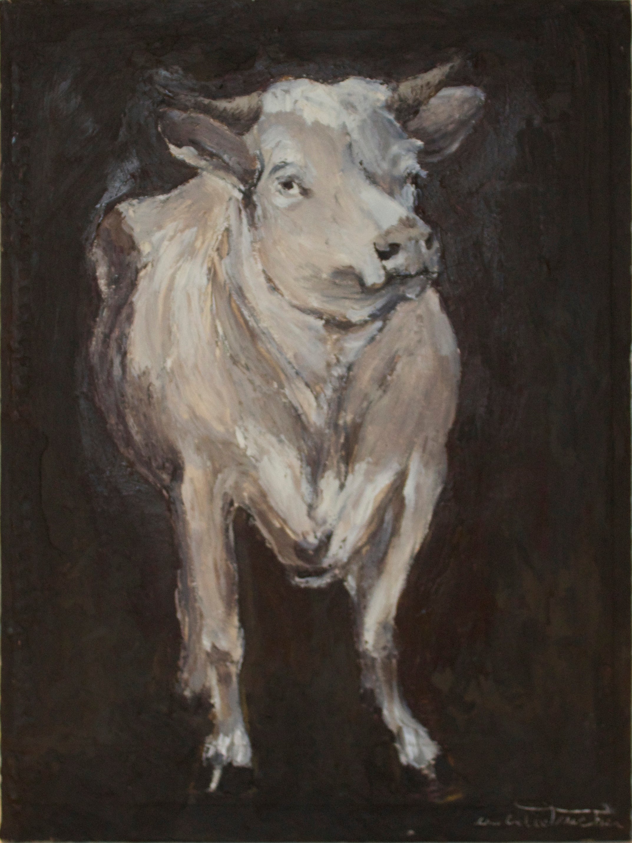 Cow Study Front-Facing View, retouched original canvas print