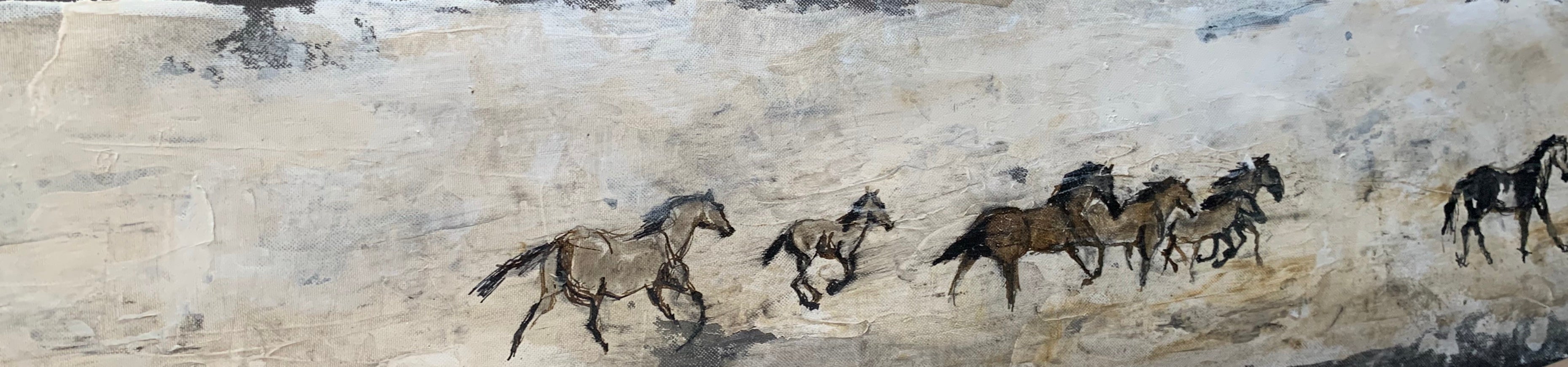 Wild horses galloping in their desert landscape, running away from me once they came aware of my presence in the distance. With their instinct guiding their actions, the herd acts as one. The herd is a strong defender of their space, their habitat, which is sadly under constant threat.