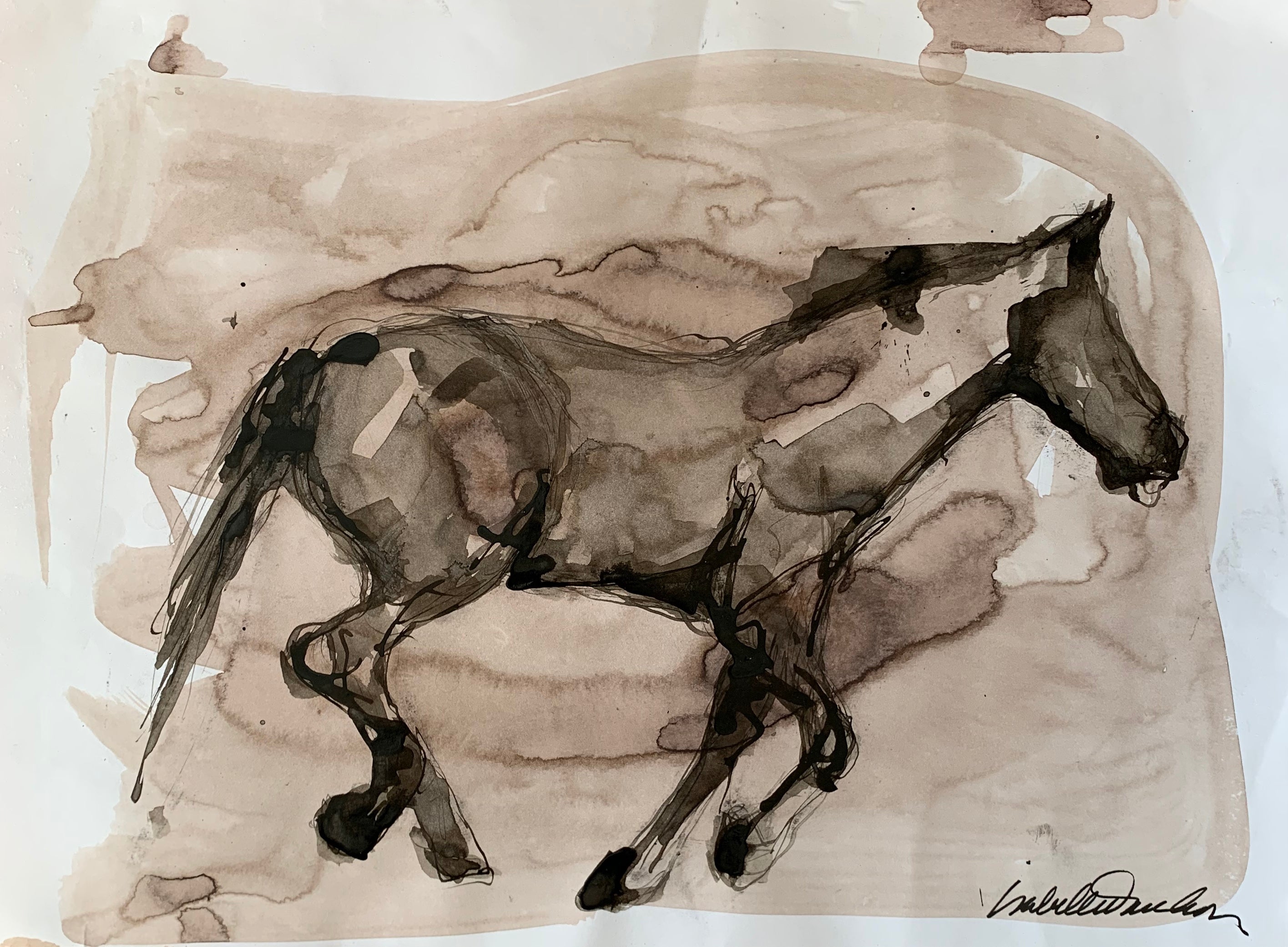 Original ink and Gouache painting of wild horse. Isabelle Truchon art