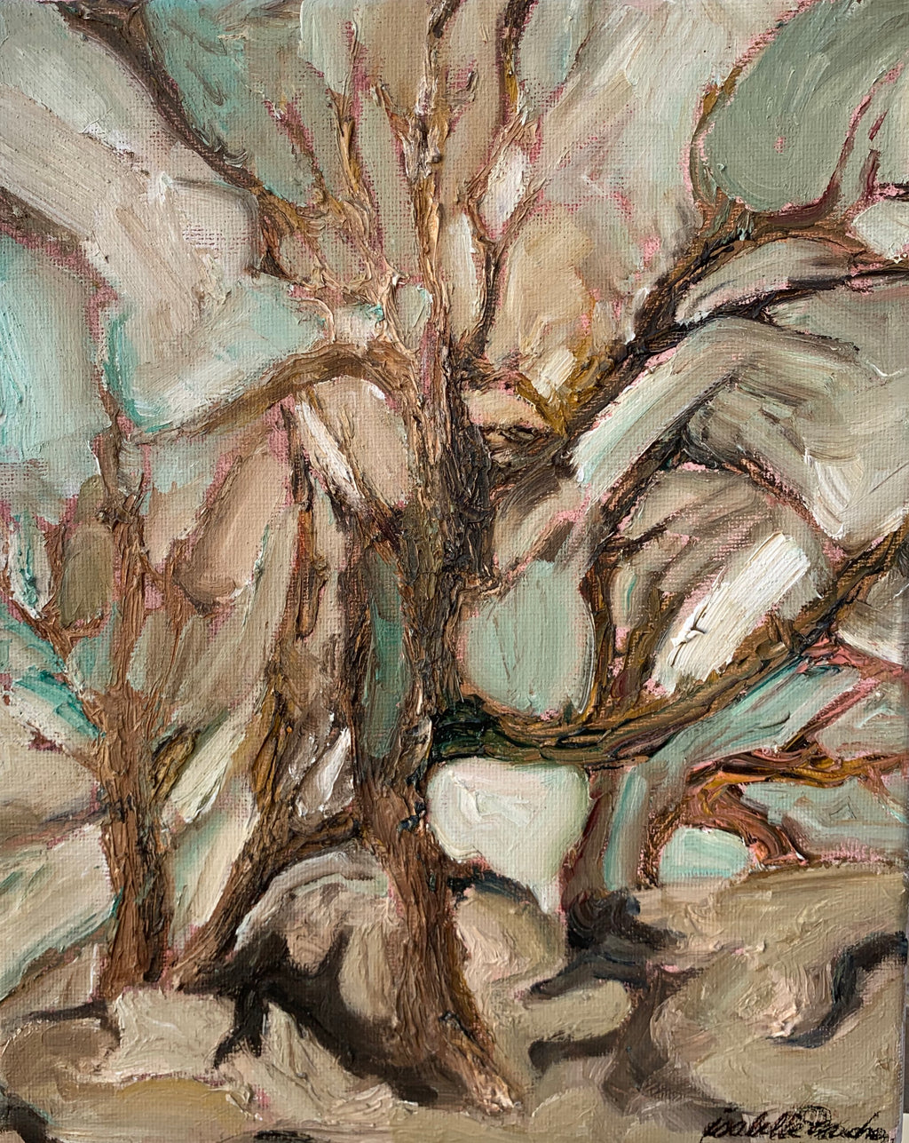 Highly textured study of little cypress in the high desert of the Grand Canyon.