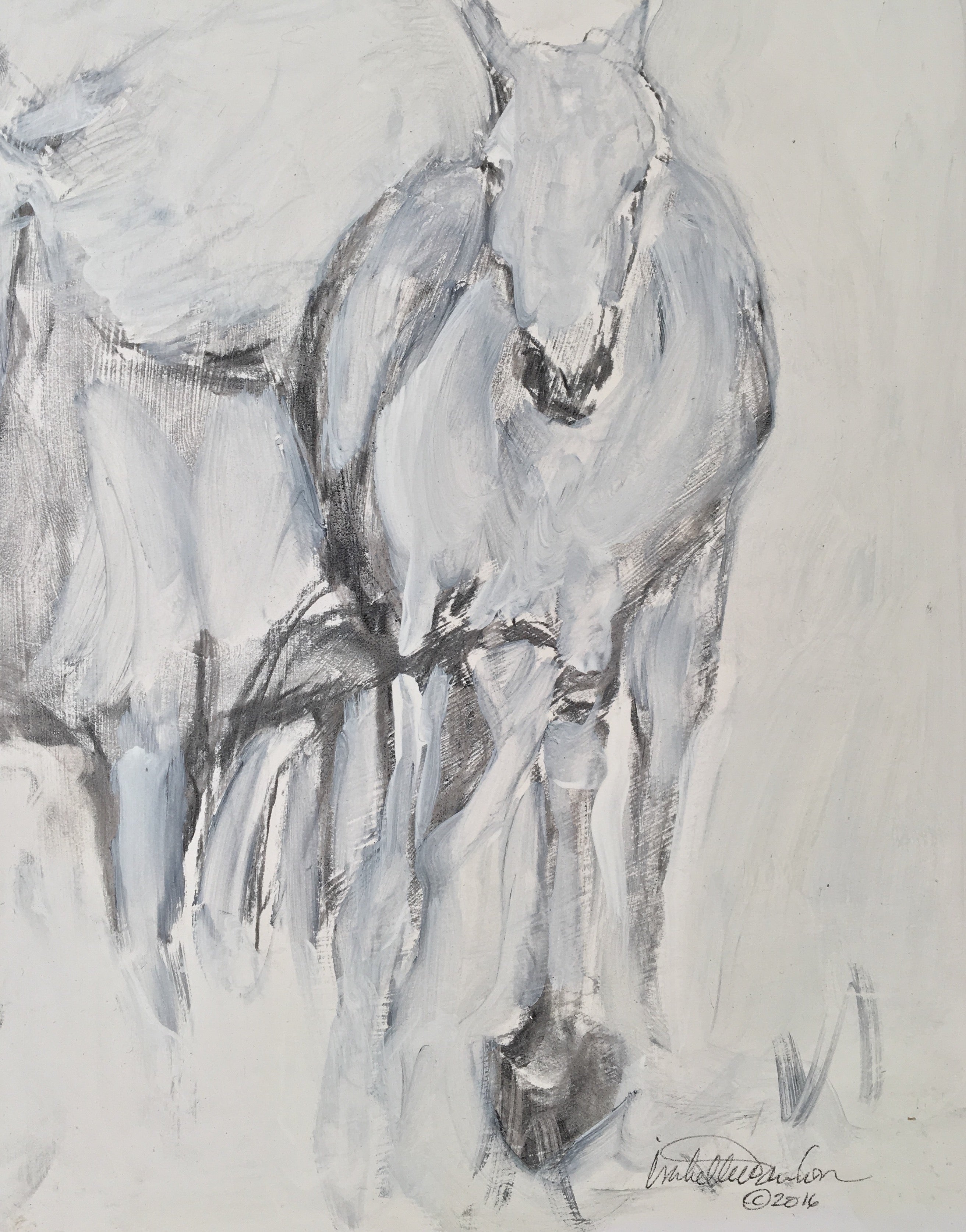 Original charcoal and gesso painting depicting the gentle and graceful horse of the Camargue.