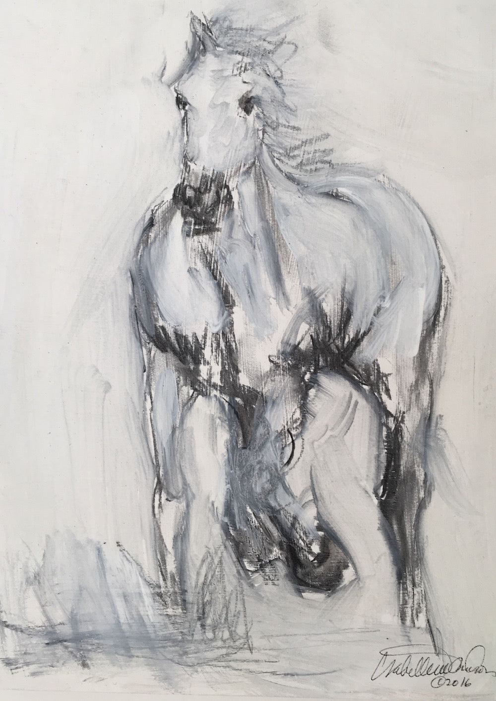 Original charcoal and gesso painting depicting the gentle and graceful horse of the Camargue.