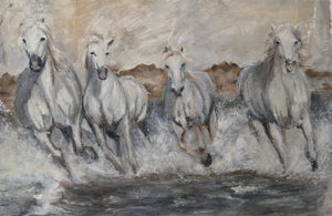 Galloping white horse herd in the Camargue. 