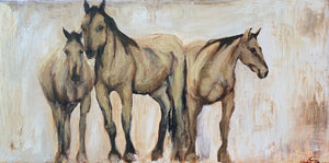 The buckskin wild Kiger horses of the Steens Mountain, three horses congregating not far from the larger herd, watching me, watching them. A statement piece for any space.