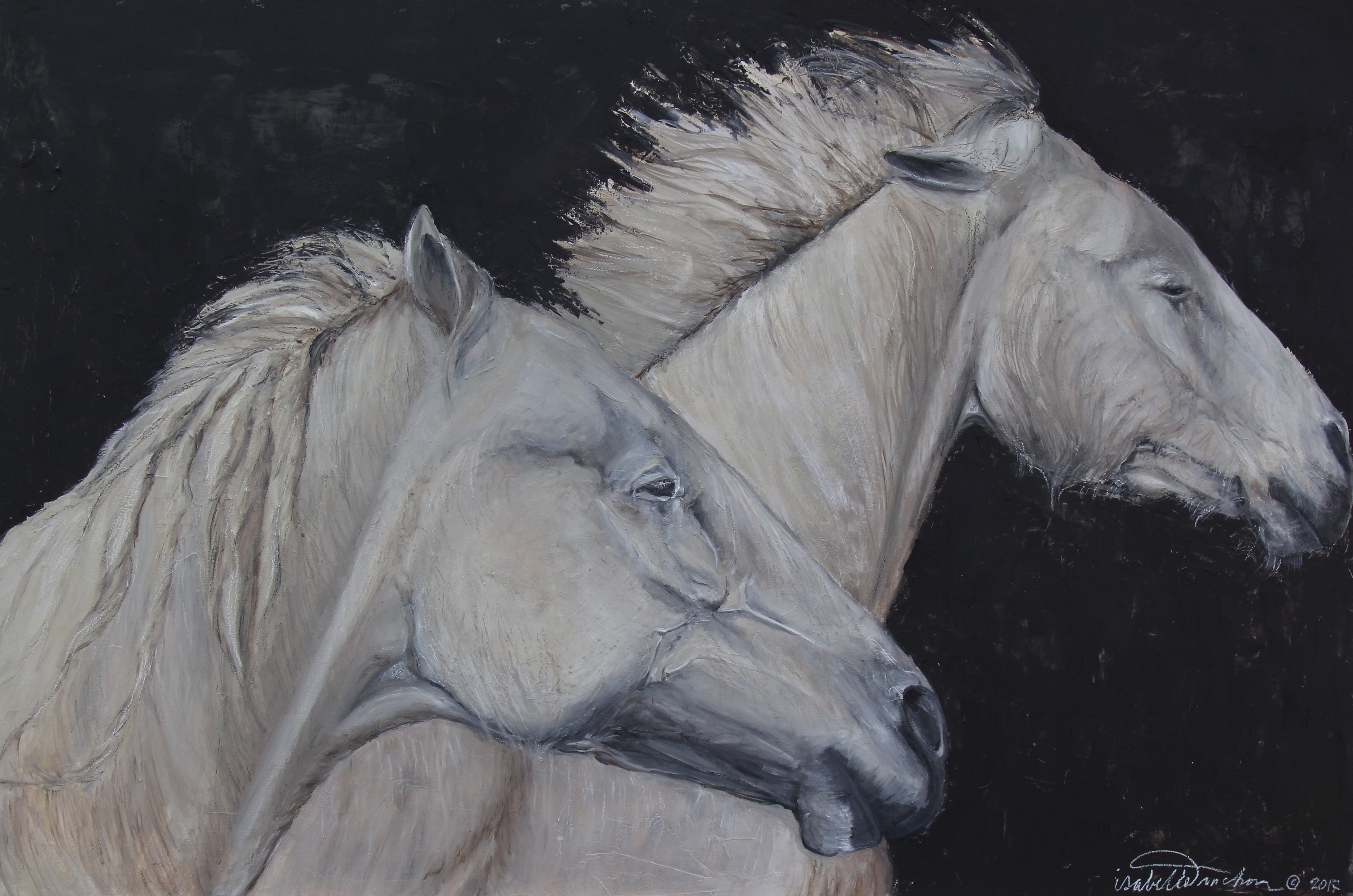 Artist Isabelle Truchon captures the mighty horses of the Camargue galloping in unison, happy to be alive in their beautiful natural habitat. This painting was created using oil sticks and is highly textured. The energy of the horses jumps from the canvas, a stunning and dramatic piece.