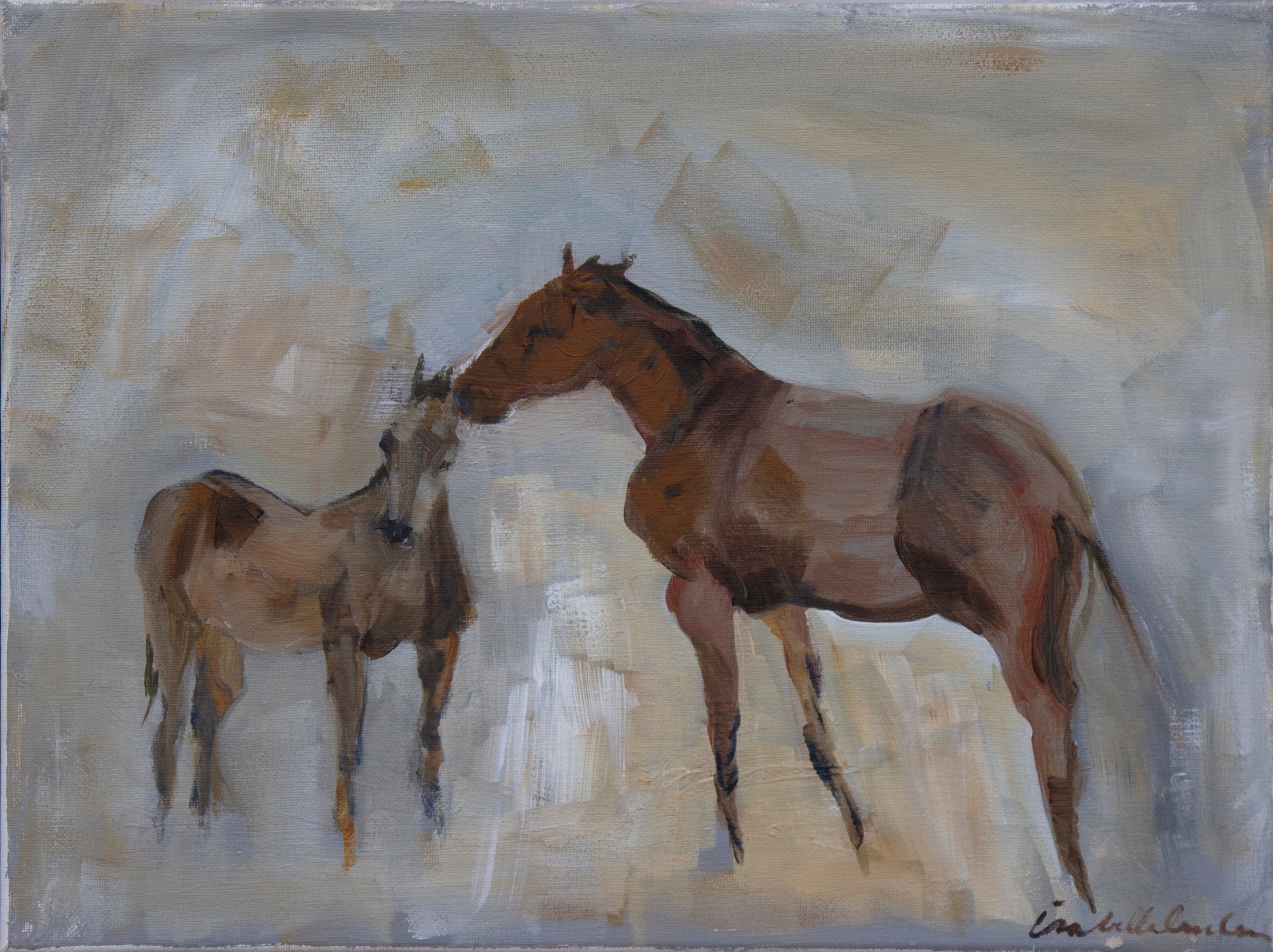 Isabelle Truchon subtly captures the nurture of a mare and her offspring is pure and beautiful. Just as it should be.