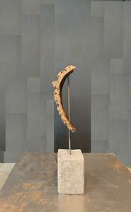 Isabelle Truchon sculpture with bark, steel, concrete.