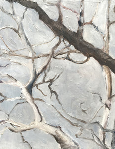 Imtimacy No.1 • Sycamore in Winter 1