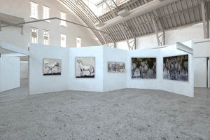 Stunning and highly textured piece depicting a posturing stallion Camarguais horse. Neutral tones of gray and white with a touch of dirtied burnt umber and rich alsphaltum hues. Here seen with other paintings of the same collection.