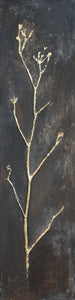 Isabelle Truchon Organic art. Fennel in Gold II