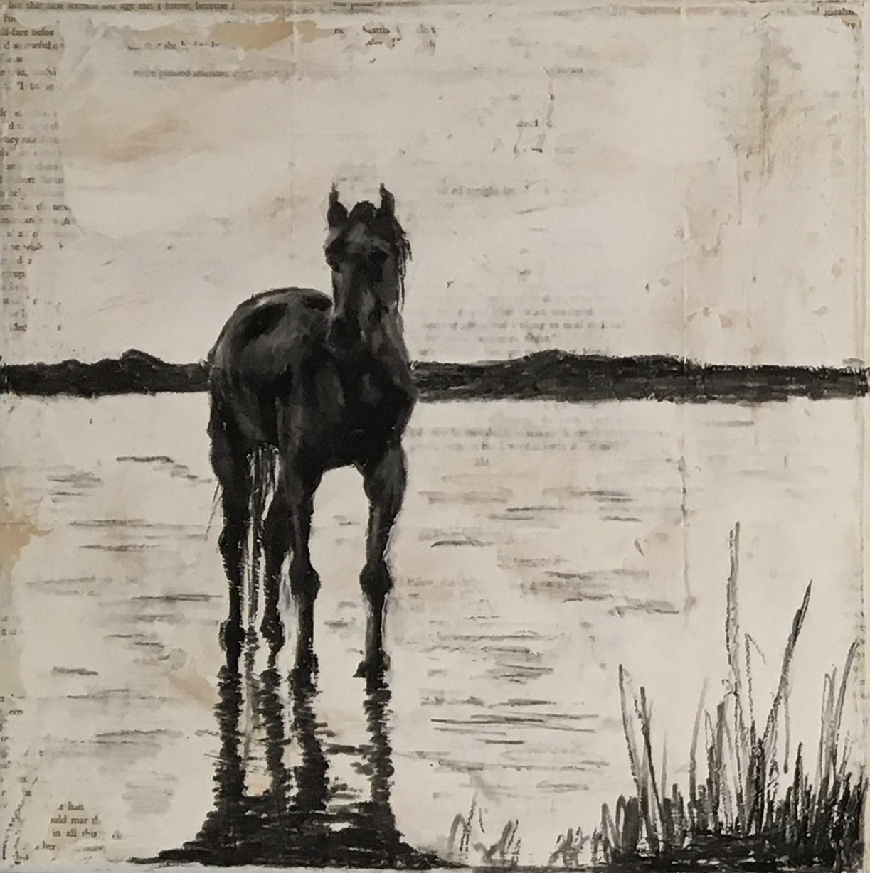 Original painting depicting a soulful wild horse in its natural habitat of the Camargue, France.